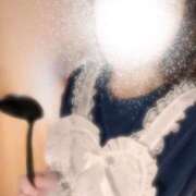 ヒメ日記 2025/12/16 22:00 投稿 ふたば 涼泉（りょうせん）