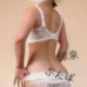 ヒメ日記 2025/12/18 19:45 投稿 ふたば 涼泉（りょうせん）