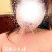 ヒメ日記 2025/12/31 17:30 投稿 ふたば 涼泉（りょうせん）