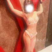 ヒメ日記 2025/12/31 23:00 投稿 ふたば 涼泉（りょうせん）