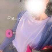 ヒメ日記 2026/01/01 16:26 投稿 ふたば 涼泉（りょうせん）