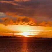 ヒメ日記 2026/01/03 09:01 投稿 ふたば 涼泉（りょうせん）