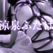 ヒメ日記 2026/02/24 11:35 投稿 ふたば 涼泉（りょうせん）