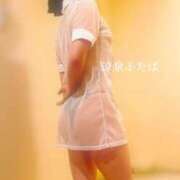 ヒメ日記 2026/02/26 17:34 投稿 ふたば 涼泉（りょうせん）