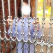 ヒメ日記 2026/04/05 12:26 投稿 ふたば 涼泉（りょうせん）