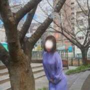 ヒメ日記 2026/04/09 07:17 投稿 ふたば 涼泉（りょうせん）