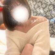 ヒメ日記 2026/04/11 06:37 投稿 ふたば 涼泉（りょうせん）