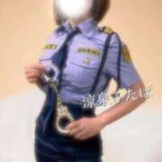 ヒメ日記 2026/04/11 16:30 投稿 ふたば 涼泉（りょうせん）