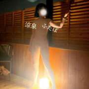 ヒメ日記 2026/04/12 13:01 投稿 ふたば 涼泉（りょうせん）