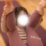 ヒメ日記 2026/04/13 11:01 投稿 ふたば 涼泉（りょうせん）