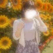 ヒメ日記 2026/04/14 22:01 投稿 ふたば 涼泉（りょうせん）