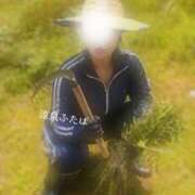 ヒメ日記 2026/04/20 22:22 投稿 ふたば 涼泉（りょうせん）