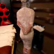 ヒメ日記 2026/04/21 21:16 投稿 ふたば 涼泉（りょうせん）