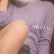 ヒメ日記 2026/04/24 07:30 投稿 ふたば 涼泉（りょうせん）