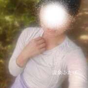 ヒメ日記 2026/04/27 12:42 投稿 ふたば 涼泉（りょうせん）