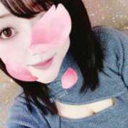 ヒメ日記 2024/12/15 15:23 投稿 しずく 即プレイ専門店 性の極み