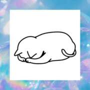 ヒメ日記 2025/07/25 15:26 投稿 しずく 即プレイ専門店 性の極み