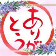 ヒメ日記 2025/08/09 21:28 投稿 武内 友 五十路マダム姫路店