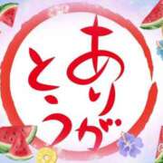 ヒメ日記 2025/08/11 18:48 投稿 武内 友 五十路マダム姫路店