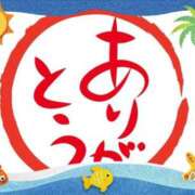 ヒメ日記 2025/08/29 11:14 投稿 武内 友 五十路マダム姫路店