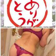 ヒメ日記 2025/11/15 18:30 投稿 武内 友 五十路マダム姫路店