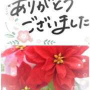 ヒメ日記 2025/11/25 14:34 投稿 武内 友 五十路マダム姫路店