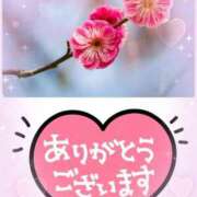 ヒメ日記 2026/02/14 09:58 投稿 武内 友 五十路マダム姫路店