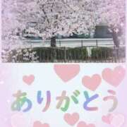 ヒメ日記 2026/04/04 08:26 投稿 武内 友 五十路マダム姫路店