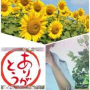 ヒメ日記 2026/08/11 23:36 投稿 武内 友 五十路マダム姫路店