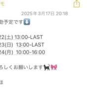 まほ 今週末の出勤予定です🐾໊ イエスグループ熊本　Kawaii（カワイイ）