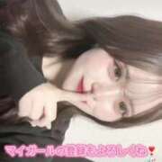 ヒメ日記 2024/12/09 17:10 投稿 すあ アニバーサリー