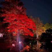 ヒメ日記 2025/11/05 04:33 投稿 すあ アニバーサリー