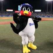 ヒメ日記 2025/02/26 09:02 投稿 瀬川 結菜 大阪貴楼館