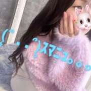 ヒメ日記 2025/05/13 11:42 投稿 瀬川 結菜 大阪貴楼館