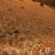 ヒメ日記 2024/12/05 09:08 投稿 いろは 待ちナビ