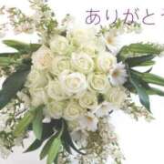 ヒメ日記 2024/12/30 12:56 投稿 いろは 待ちナビ