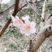 ヒメ日記 2025/04/08 08:02 投稿 いろは 待ちナビ