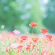 ヒメ日記 2025/04/22 13:17 投稿 いろは 待ちナビ