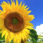 ヒメ日記 2025/07/20 09:45 投稿 いろは 待ちナビ