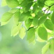 ヒメ日記 2025/07/22 09:41 投稿 いろは 待ちナビ