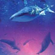 ヒメ日記 2025/08/01 09:45 投稿 いろは 待ちナビ