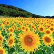 ヒメ日記 2025/08/31 08:33 投稿 いろは 待ちナビ