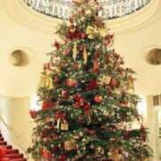 ヒメ日記 2025/12/16 13:45 投稿 いろは 待ちナビ