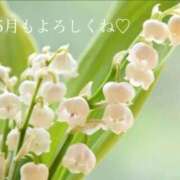 ヒメ日記 2026/05/02 08:13 投稿 いろは 待ちナビ