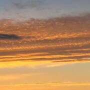 ヒメ日記 2025/05/25 22:50 投稿 小林 聡美 熟女・人妻マダム宮殿