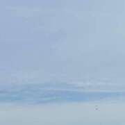 ヒメ日記 2025/06/09 08:17 投稿 小林 聡美 熟女・人妻マダム宮殿