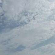 ヒメ日記 2025/07/08 14:08 投稿 小林 聡美 熟女・人妻マダム宮殿