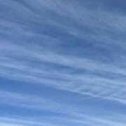 ヒメ日記 2025/11/23 10:27 投稿 小林 聡美 熟女・人妻マダム宮殿