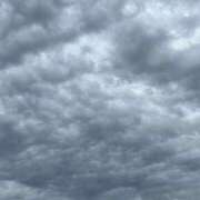 ヒメ日記 2026/04/01 11:51 投稿 小林 聡美 熟女・人妻マダム宮殿