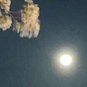 ヒメ日記 2026/04/02 20:52 投稿 小林 聡美 熟女・人妻マダム宮殿